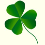 shamrock