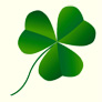 shamrock