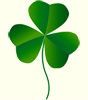 shamrock