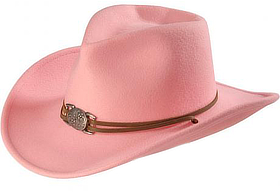 pinkcowboyhat_280px