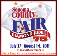 soco fair poster