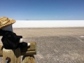 Death_SaltFlats2016