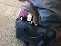 Death_airport_2011