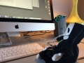Death_blogging2015