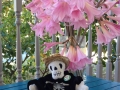 Death_nkladies2015