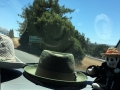 Death_petaluma_car2016