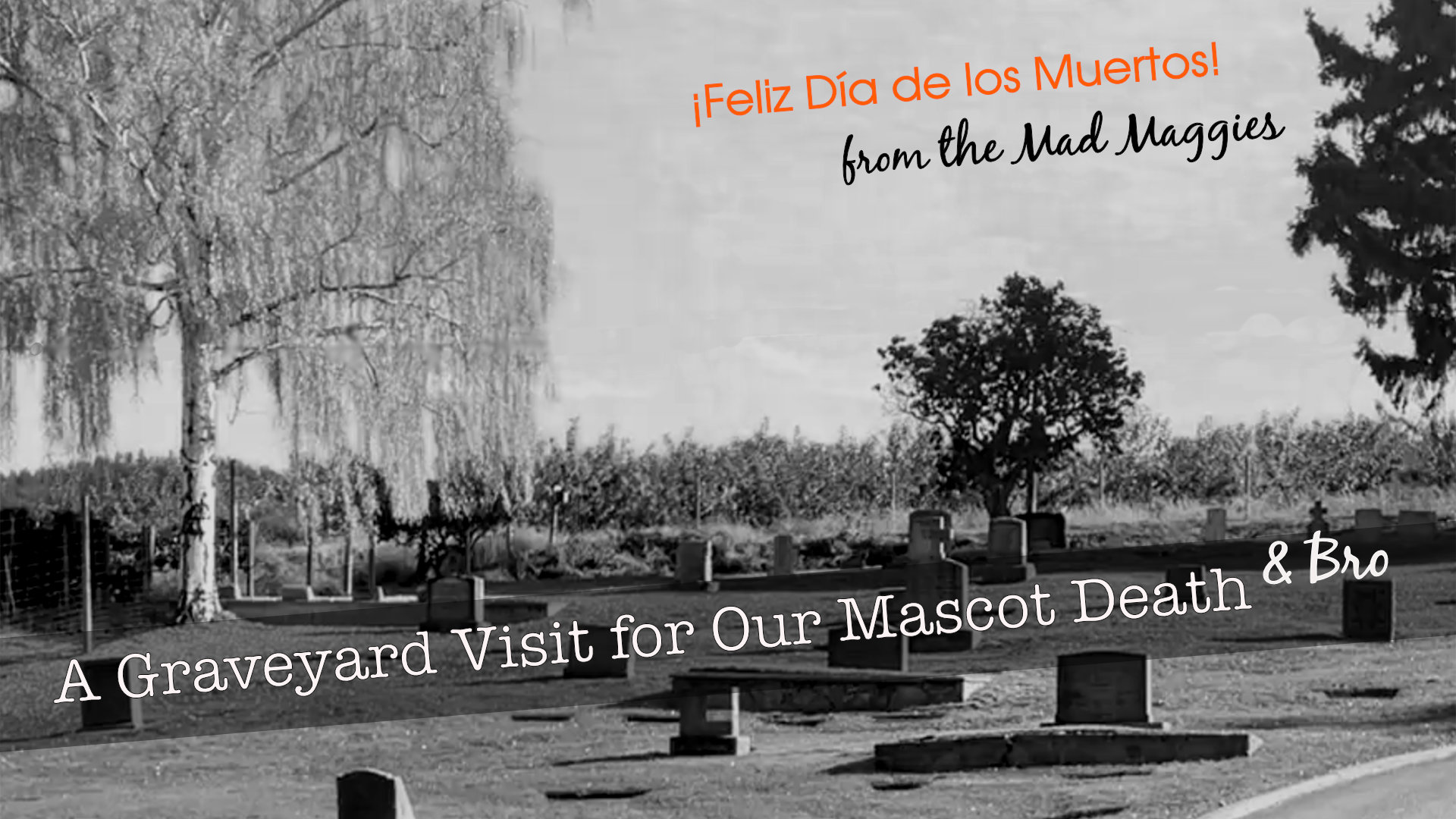¡Feliz Día de Los Muertos!  Death Visits a Graveyard
